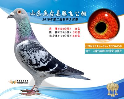 2019鱼台腾飞45