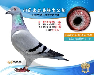 2019鱼台腾飞46