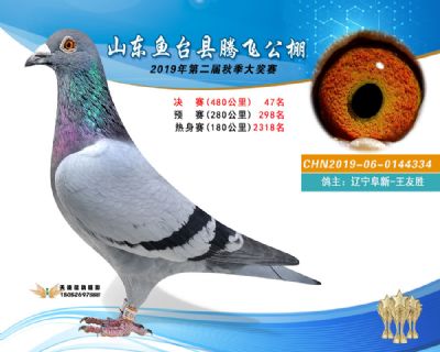 2019鱼台腾飞47