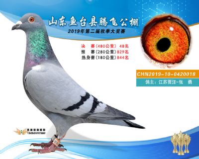 2019鱼台腾飞48