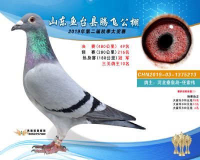 2019鱼台腾飞49