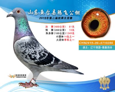 2019鱼台腾飞51