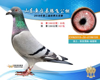2019鱼台腾飞50