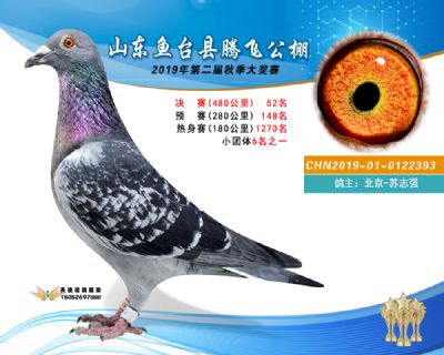 2019鱼台腾飞52