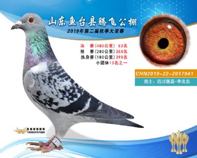 2019鱼台腾飞53