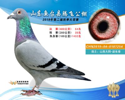 2019鱼台腾飞54