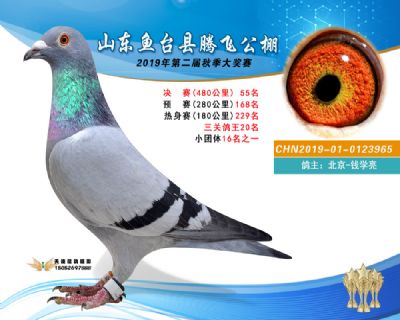 2019鱼台腾飞55