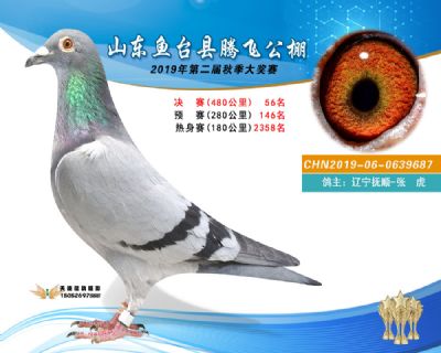 2019鱼台腾飞56