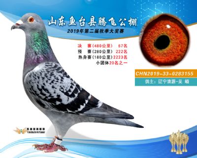 2019鱼台腾飞57