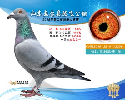2019鱼台腾飞58