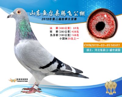 2019鱼台腾飞59