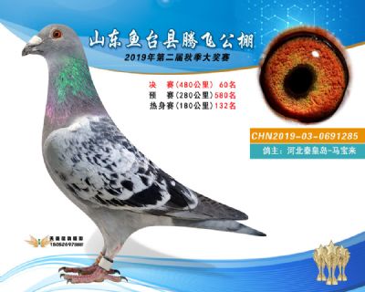2019鱼台腾飞60