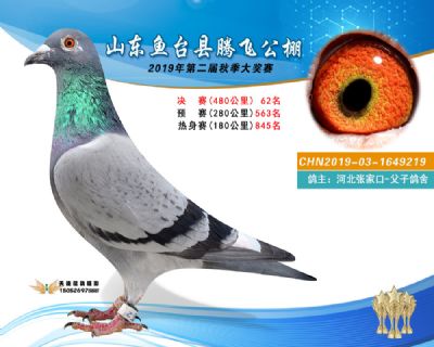 2019鱼台腾飞62