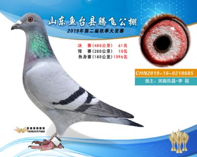 2019鱼台腾飞61
