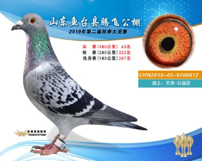 2019鱼台腾飞63