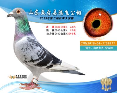 2019鱼台腾飞64