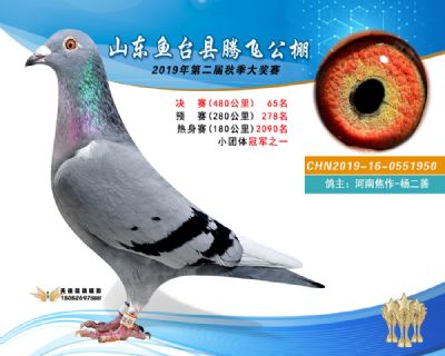 2019鱼台腾飞65