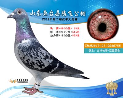 2019鱼台腾飞69