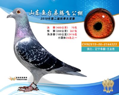 2019鱼台腾飞70