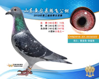 2019鱼台腾飞72