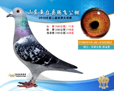 2019鱼台腾飞71
