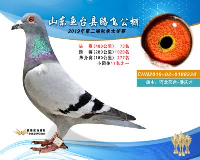 2019鱼台腾飞73