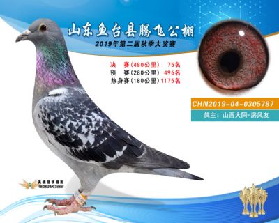 2019鱼台腾飞75
