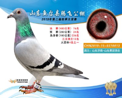 2019鱼台腾飞76