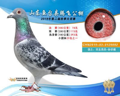2019鱼台腾飞78