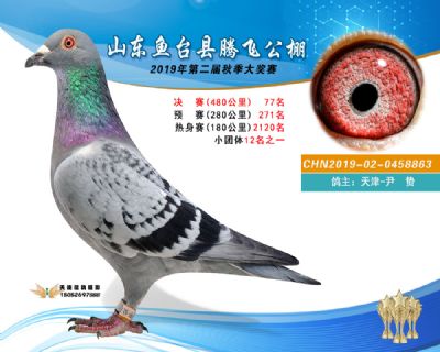 2019鱼台腾飞77