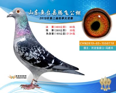 2019鱼台腾飞80