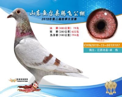 2019鱼台腾飞79