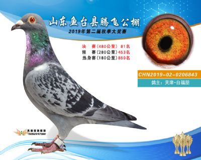 2019鱼台腾飞81