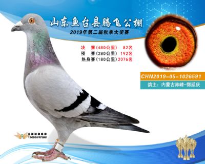2019鱼台腾飞82