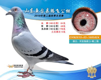 2019鱼台腾飞84