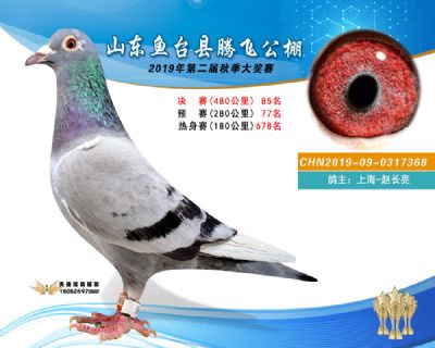 2019鱼台腾飞85