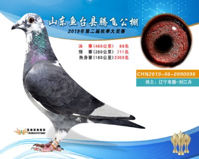 2019鱼台腾飞88
