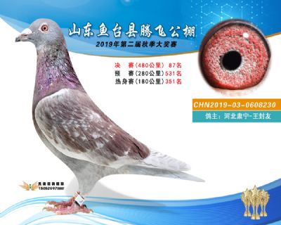 2019鱼台腾飞87