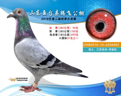 2019鱼台腾飞90