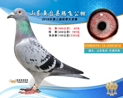 2019鱼台腾飞89
