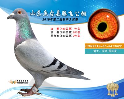 2019鱼台腾飞94