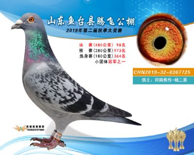 2019鱼台腾飞98