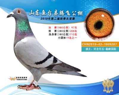 2019鱼台腾飞97