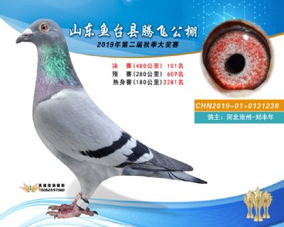 2019鱼台腾飞101