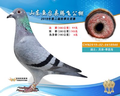 2019鱼台腾飞99