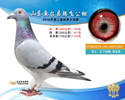 2019鱼台腾飞100
