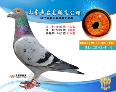 2019鱼台腾飞102