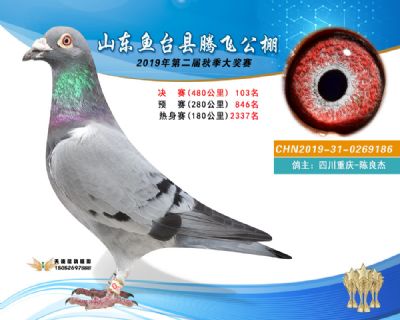 2019鱼台腾飞103