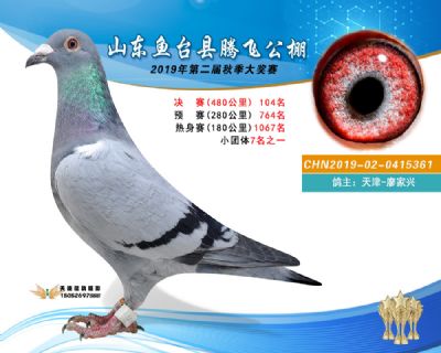 2019鱼台腾飞104