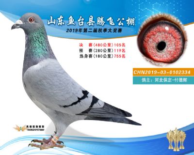 2019鱼台腾飞105
